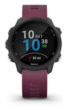Garmin Forerunner 245 GPS Running Smartwatch | Vitacost.com/Blog