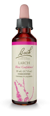 Bach Original Flower Remedy Dropper Larch Flower Essence | Vitacost.com/blog