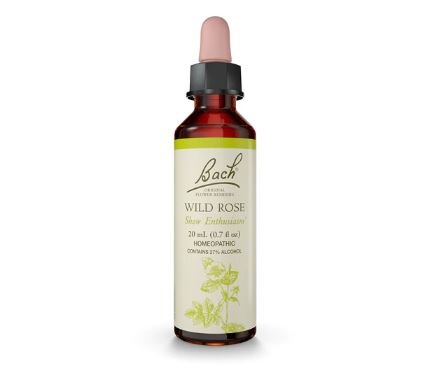 Bach Original Flower Remedy Dropper Wild Rose Flower Essence