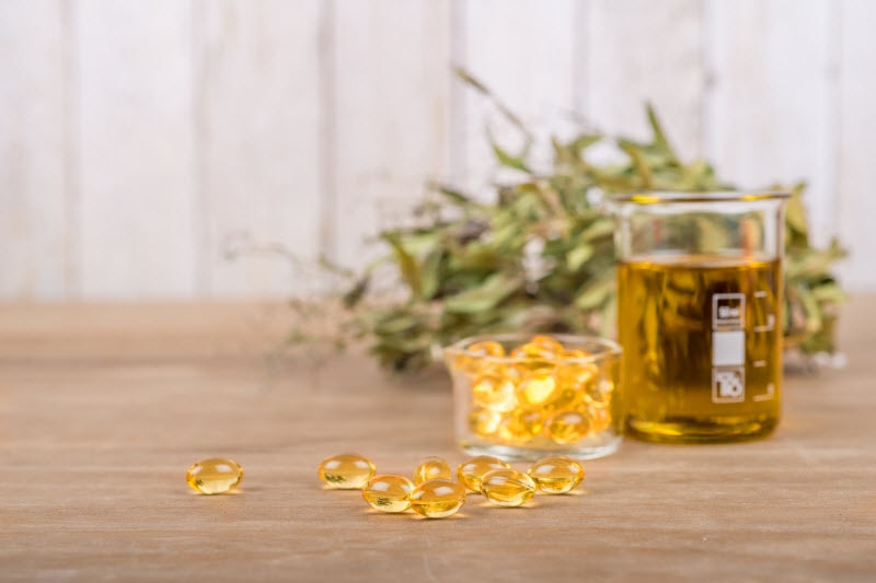 Algae Oil vs Fish Oil: Which One Is Right for You?