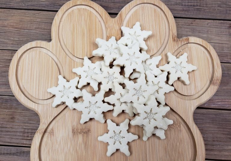 Coconut Oil Dog Treats A DIY Recipe Vitacost Blog