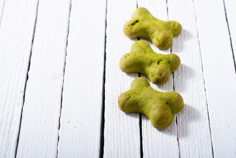 Green Dog Treats for St. Patrick’s Day Vitacost Blog