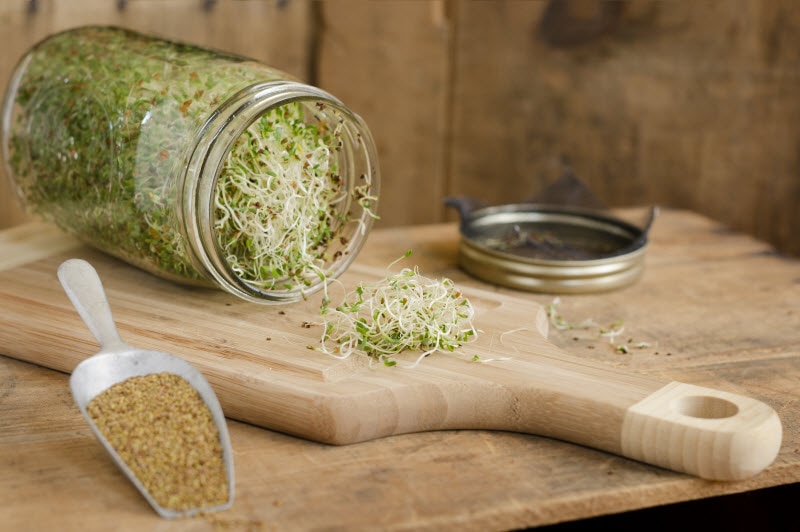 Concept of How to Sprout Represented by Jar of Sprouts on Wooden Cutting Board with Scoop of Seeds