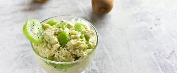 Kiwi Desert: Coconut Milk Sorbet