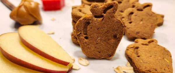 Oats & Apple Healthy Homemade Dog Treats