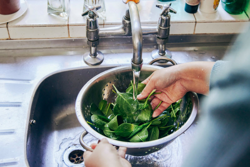Woman Learning How to Prevent Foodborne Illness Washing Spinach in Colander