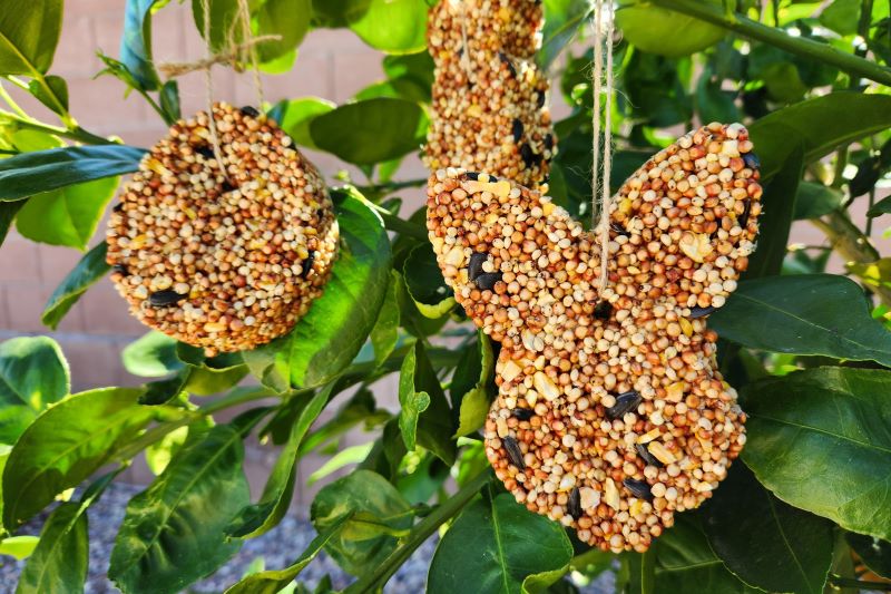 DIY Birdseed Ornaments for Holidays