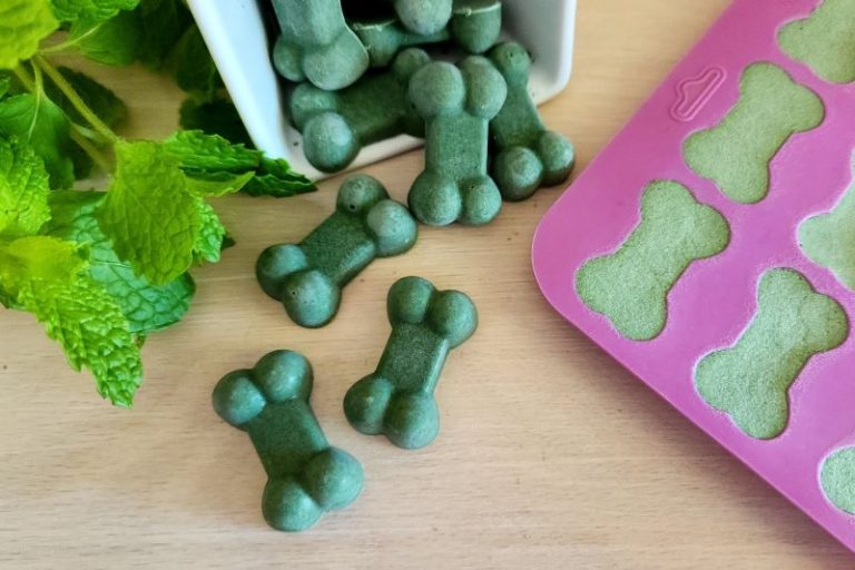 Frozen DIY Dog Breath Mints