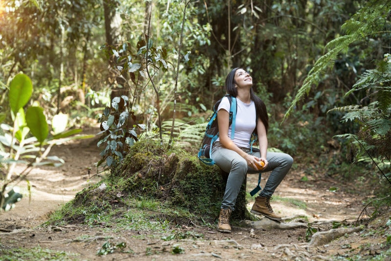 A Guide to Natural Remedies for Poison Ivy