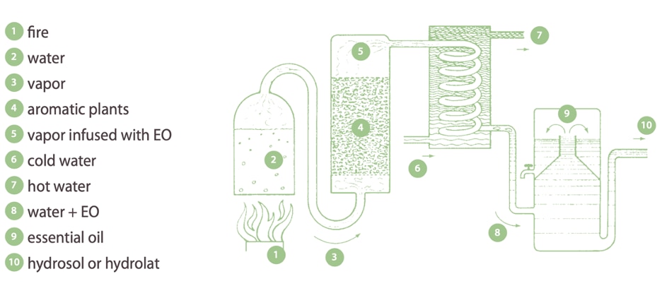 Essential Oil Distillation