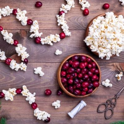 DIY Cranberry-Popcorn Holiday Garland
