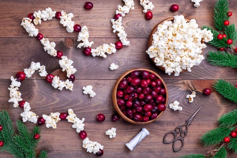 DIY Cranberry-Popcorn Holiday Garland