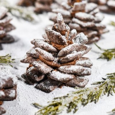 Chocolate Pinecones