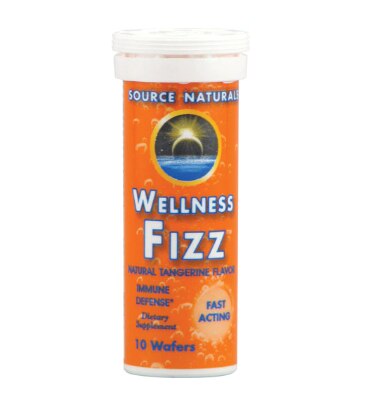 Source Naturals Wellness Fizz