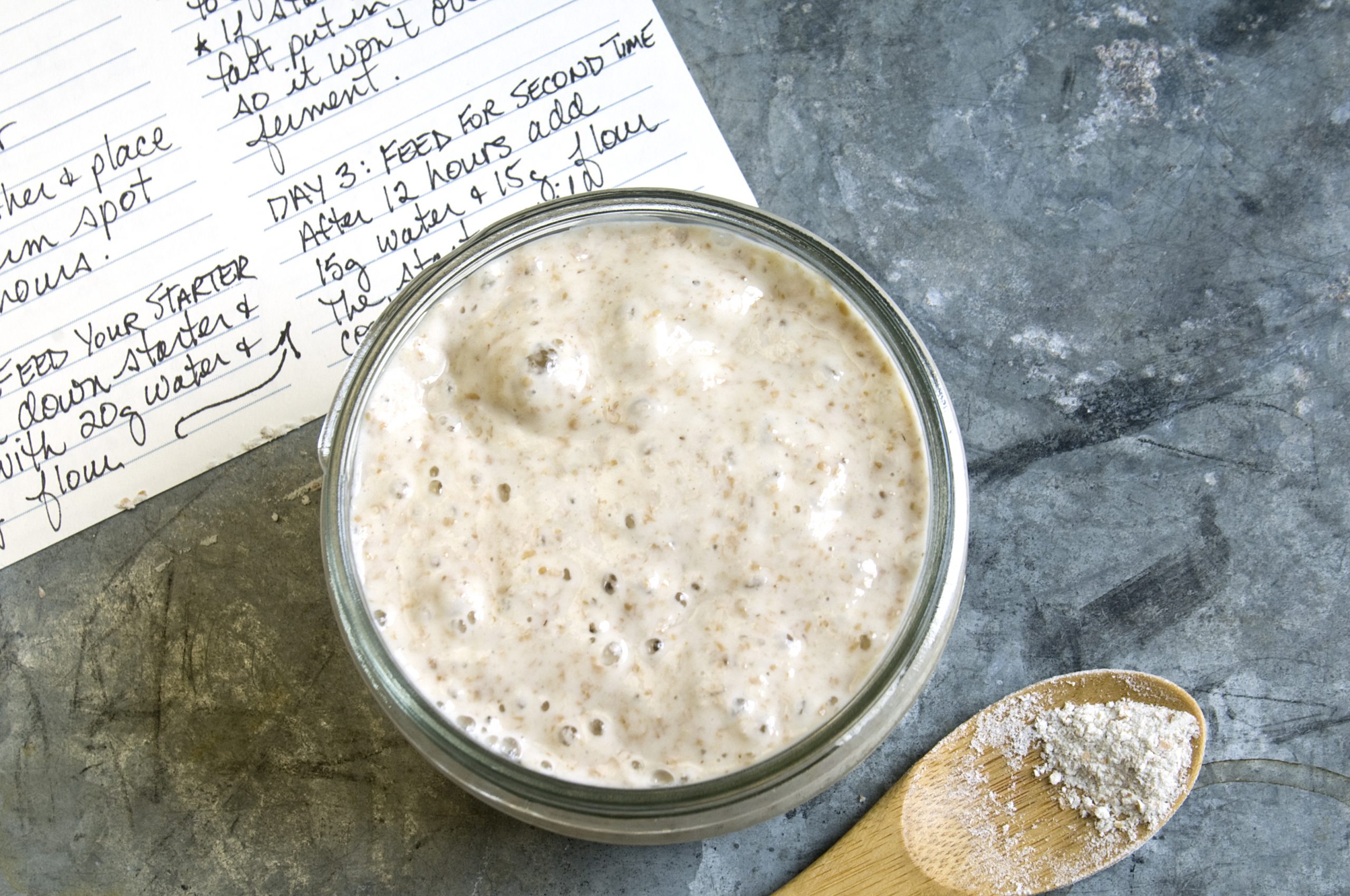 A jar of wholewheat sourdough starter on metal table with recipe and wooden spoon with wholewheat flour.