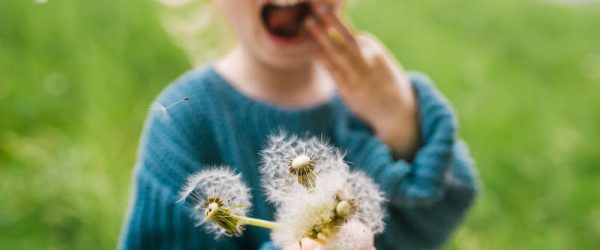 Young Girl in Blue Sweater Holding Dandelions in Field to Represent Concept of Seasonal Allergies in Kids