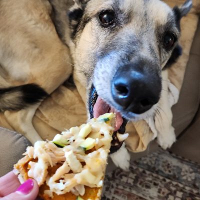 Dog-Friendly Pizza