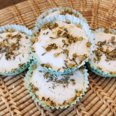 Essential Oil Deodorizing Disks