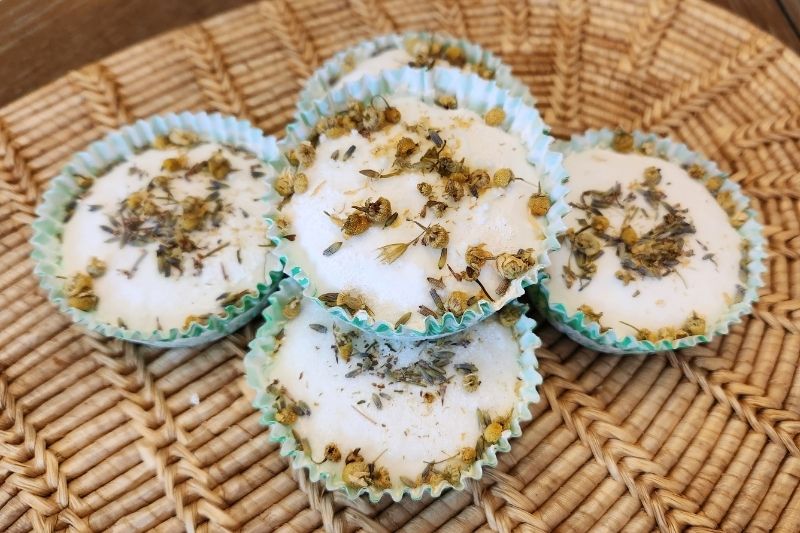 Essential Oil Deodorizing Disks