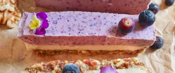 Vegan Blueberry Bars