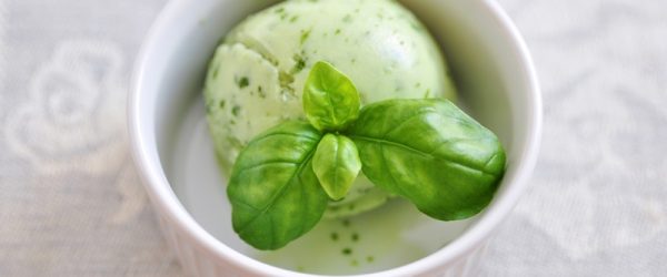 A Single Scoop of Basil Ice Cream in a Small White Ramekin.