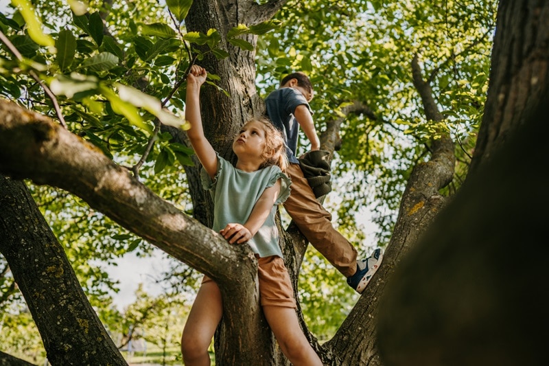 The Many Benefits of Outdoor Play for Kids’ Health Two Kids Relax High in a Tree, Representing the Benefits of Outdoor Play.