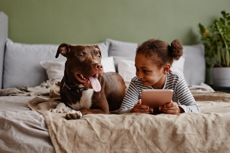 Concept of Pet Trends Represented by Happy Pup in Lying Beside Small Child in Bed