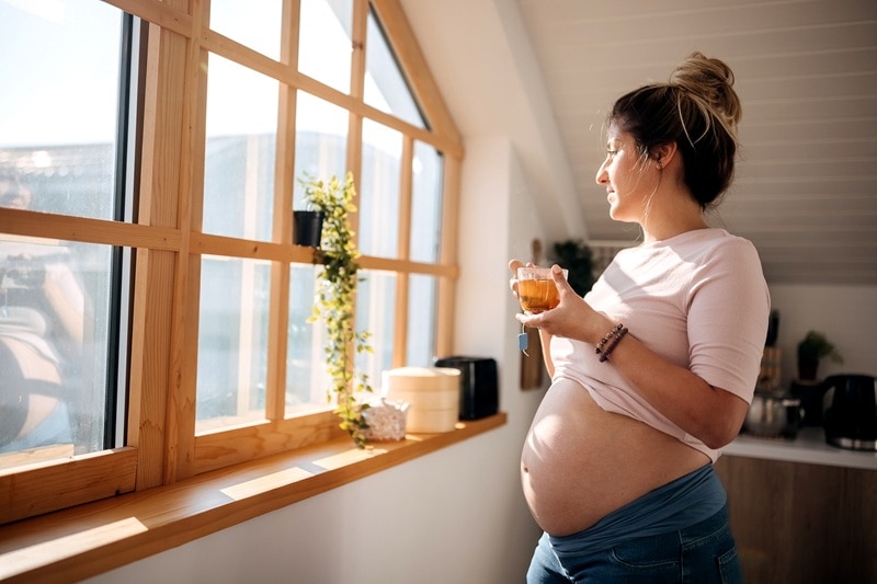 A Pregnant Woman Holds a Cup of Herbal Tea While Looking Out the Window, Representing Herbal Tea in Pregnancy.