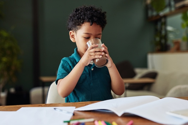Nutritional Beverages A Boy Drinks a Nutritional Beverage While Sitting at the Table.