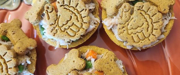 Mini Pot Pies With Turkey Shaped Crusts Sit on a Pumpkin Platter as a Thanksgiving Meal for Dogs.