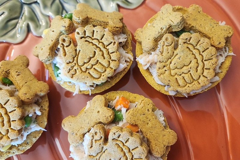 Mini Pot Pies With Turkey Shaped Crusts Sit on a Pumpkin Platter as a Thanksgiving Meal for Dogs.