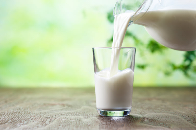 Pouring Milk Into Glass With Greenery in Background to Represent Concept of Dairy and Gut Health