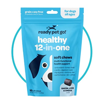 ready, pet go