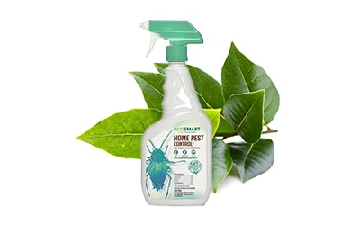Eco smart home pest control spray