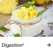 digestion