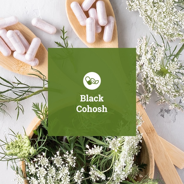 Black Cohosh