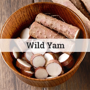 Wild Yam