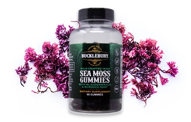Buckleberry seamoss gummies