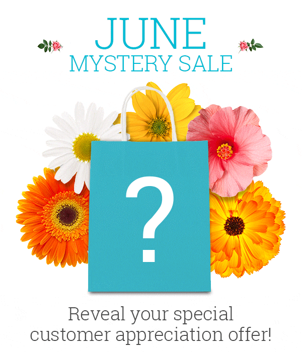 June Mystery SALE! Reveal your special customer appreciation offer!