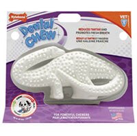 Nylabone Dental Dinosaur Durable Regular 1 Piece